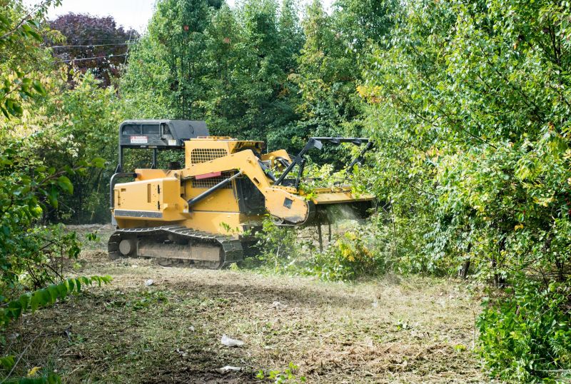 Tree Removal Machinery