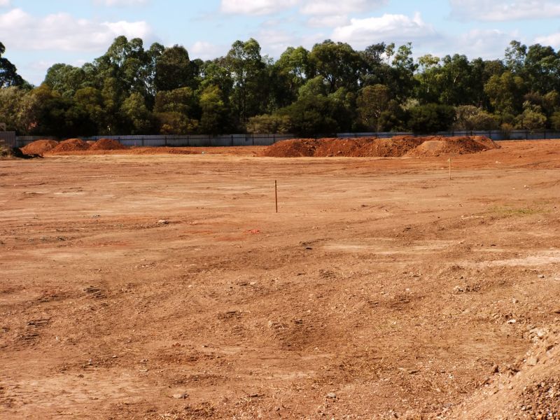 Comprehensive Site Preparation