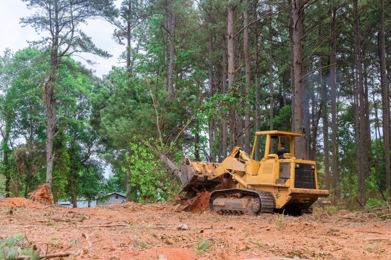 Affordable Land Clearing Options